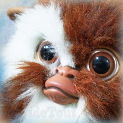 Les Greemlins - Gizmo - 1983 Peluche Quiron - Vintage - Mogwai Warner Bros