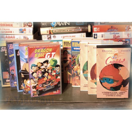 LOT X10 VHS 80/90 - DESSIN ANIME VINTAGE - Episodes - Cupido - HulkMania.. - Club Dorothée - RARE